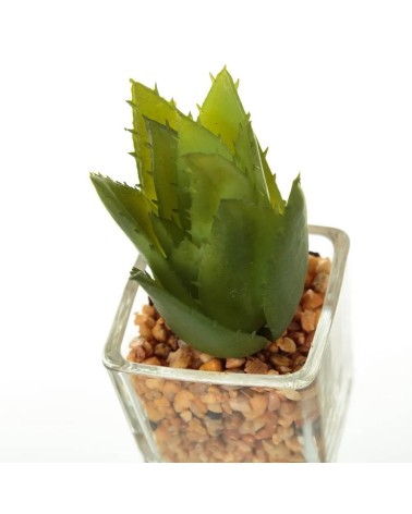 Pack 6 Cactus Artificial plástico en Maceta de Cristal