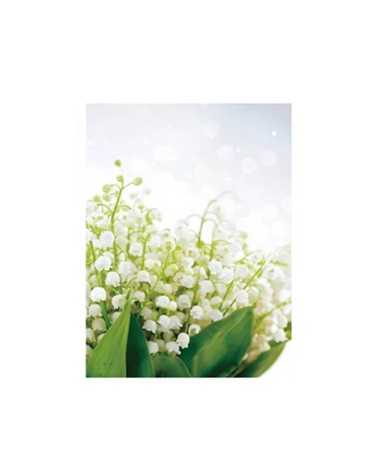 Set de 3 cuadros cabeceros de flores blancas fotoimpresos sobre lienzo de 40x30 cm
