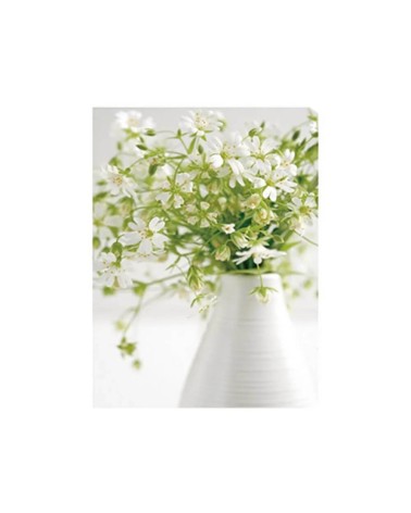 Set de 3 cuadros cabeceros de flores blancas fotoimpresos sobre lienzo de 40x30 cm
