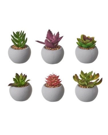 Set de 6 plantas artificiales de cactus con maceta de cemento de Ø 6x7 cm