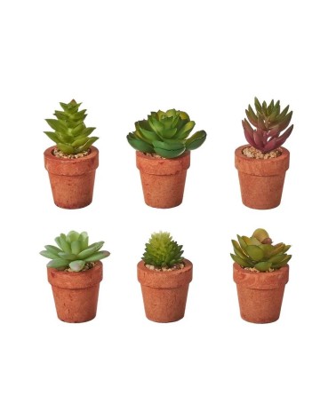 Set de 6 plantas artificiales de cactus con maceta de pastade papel terracota