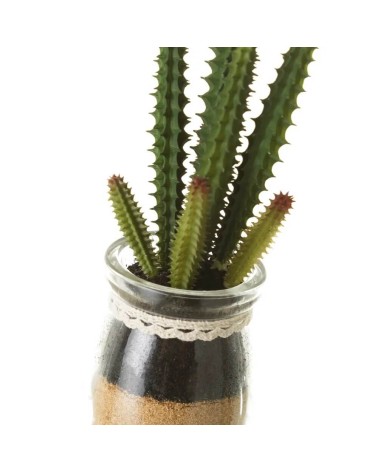 Set de 4 plantas artificiales de cactus con maceta de cristal de Ø 5x18 cm