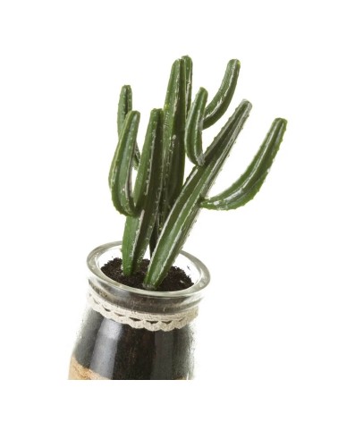 Set de 4 plantas artificiales de cactus con maceta de cristal de Ø 5x18 cm