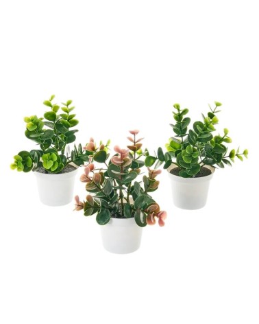 Set de 3 plantas artificiales con maceta blanca de plásticode Ø 12x17 cm