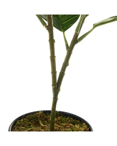 Planta artificial ficus con maceta verde de plástico PE de 50 cm