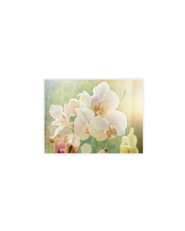 Set de 3 cuadros de flores fotoimpresos sobre tela de lienzo blancos de 30x40 cm