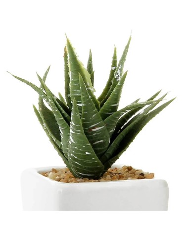 Set de 8 plantas artificiales cactus con maceta blanca de porcelana de 5x5x10 cm