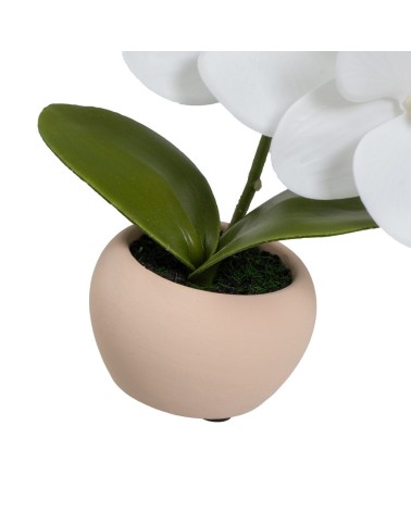 Set de 3 plantas artificiales orquídea con maceta de cemento de 11x7x15 cm